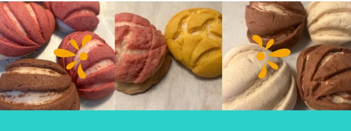 Chiqui's Concha Cookies & More banner