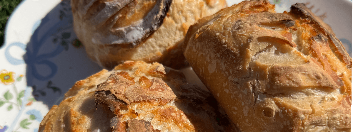 Cruz Family Bread Bank banner
