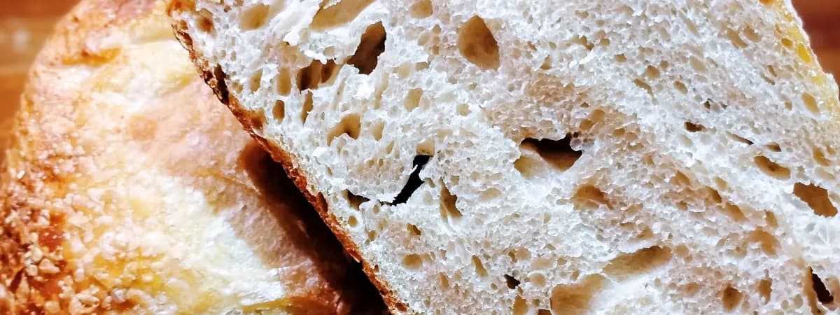 Zoe's Wild Rise Sourdough banner