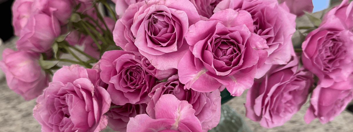 Flour&Bloom banner