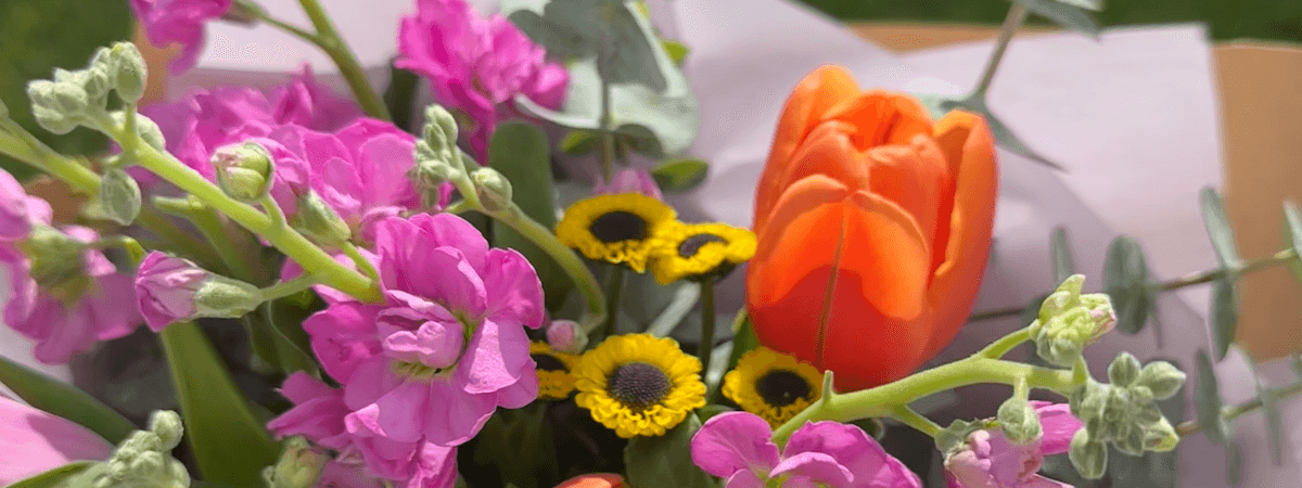 The Dandelion Farm Stand banner
