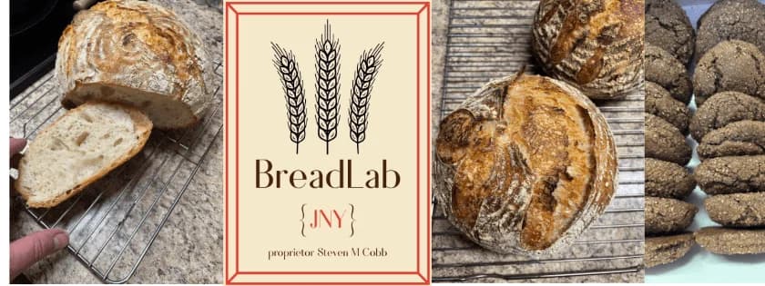 BreadLab {JNY} banner