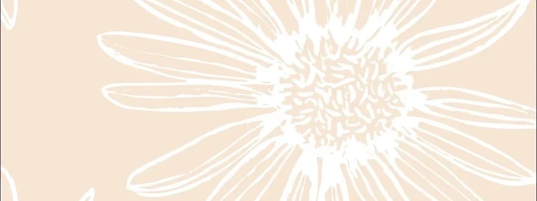 Daisy & Dough baked goods LLC banner