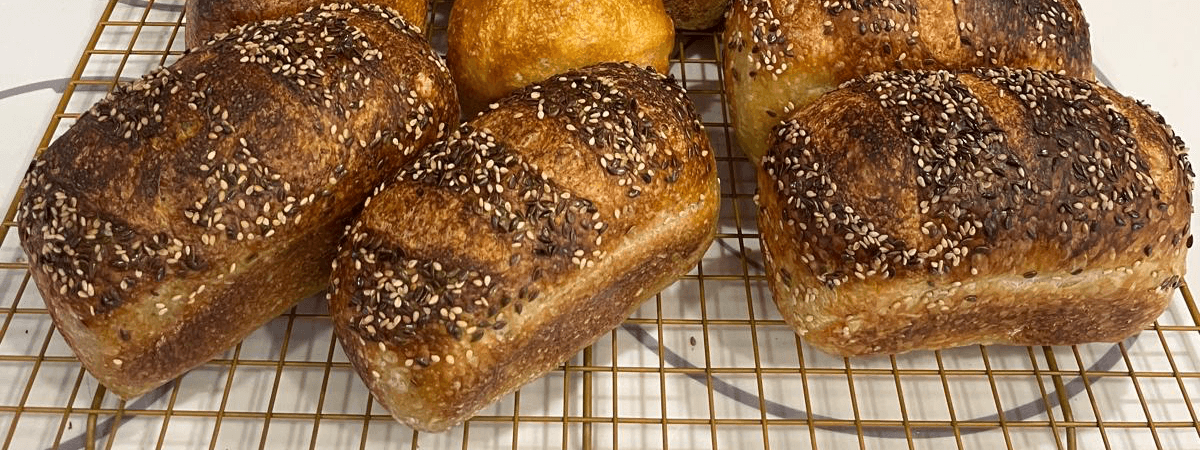 BreadStoryClub banner