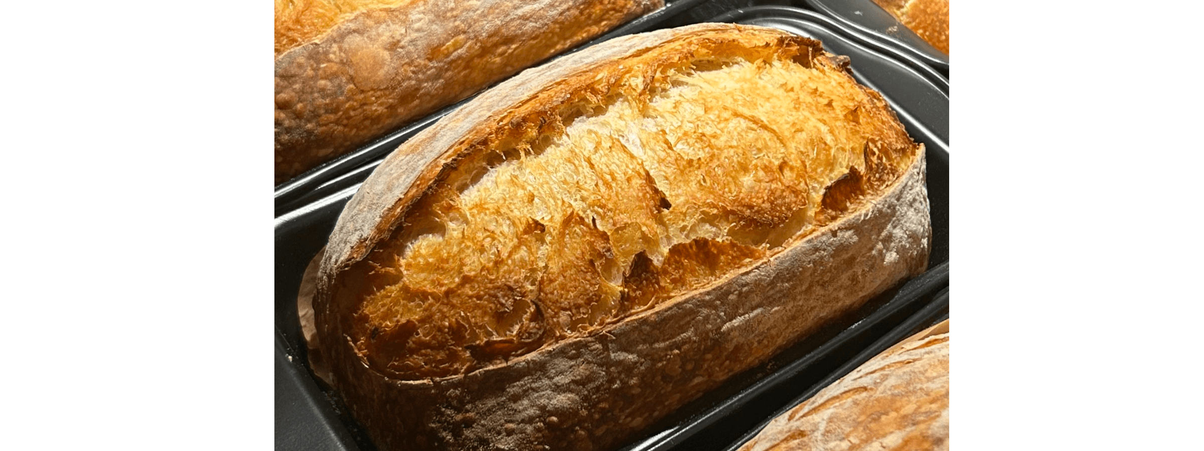 Syd Bakes Sourdough banner