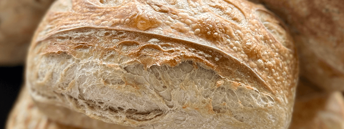 Doughly Beloved banner