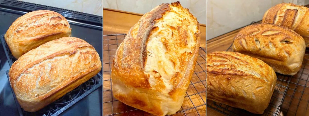 Fern & Flour Sourdough banner