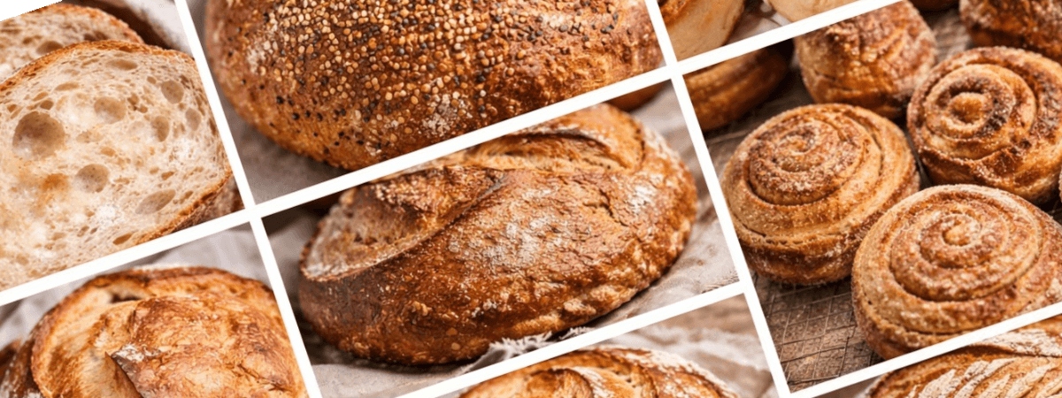 The Lee Loaf banner
