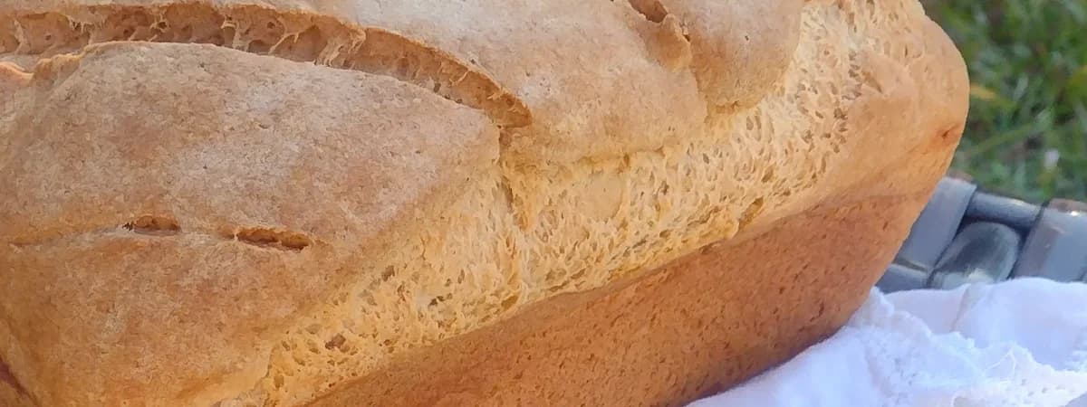 GF Wholesome Bakery banner